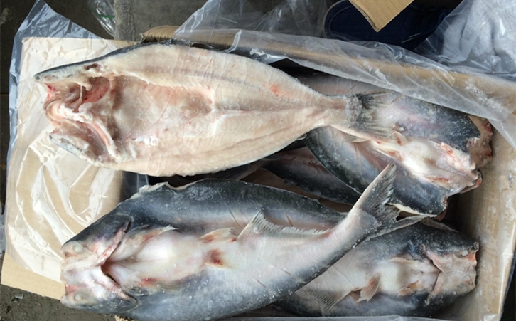 進口巴沙魚清關代理一點都不難，只要你準備好這些資料